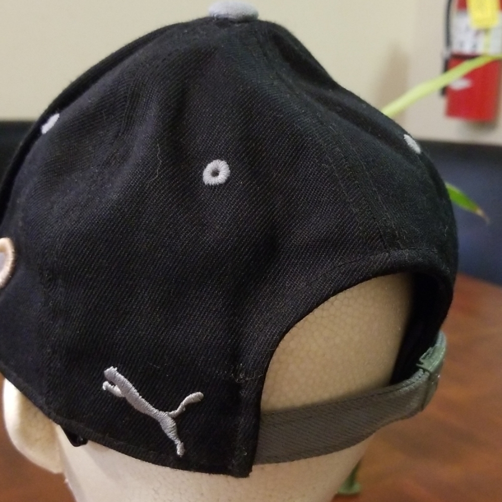 Cap - Picture 3 of 5